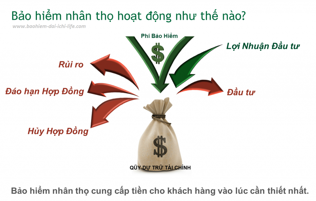 Nên đóng bảo hiểm xã hội tự nguyện hay mua bảo hiểm nhân thọ?