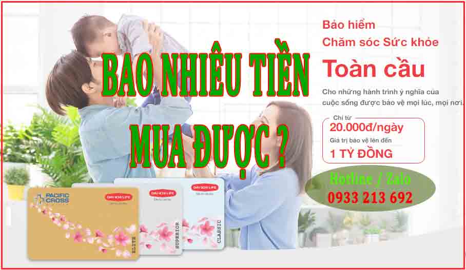 Chăm sóc sức khỏe toàn cầu Tầm nhìn, Thách thức và Cơ hội
