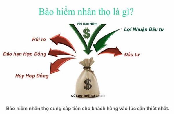 Những Lưu Ý Khi Mua Bảo Hiểm Nhân Thọ