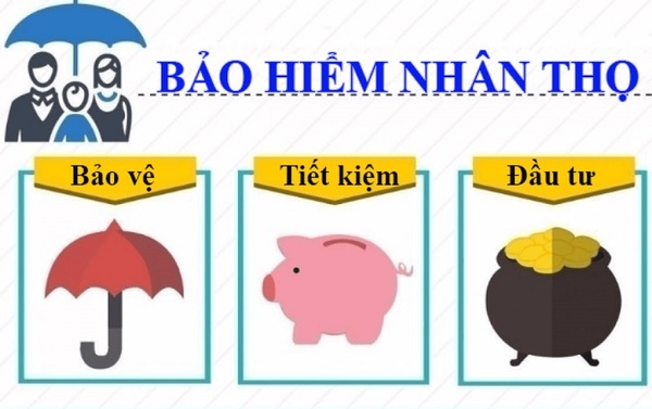 Tìm hiểu về bảo hiểm nhân thọ nên mua khi nào